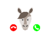 Mon cheval m'appelle