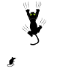 Night Eyes Neon Cat