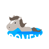 Coach d'aqua poney