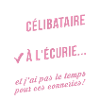 A l'écurie