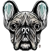 Bulldog French