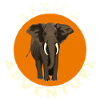 Aventures Afrique