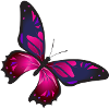 Papillon Illustration pourpre