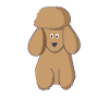 poodle