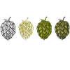 Fleurs houblon