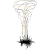 Metropolis