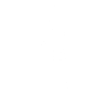 Lizard Illustration Gecko