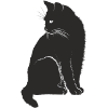 minou
