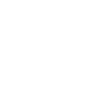 Kitten cat cats cats