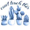 can ́t touch this cacti