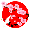 Japon Kirschblueten grue Japanfan Japon Voyage