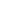 Dinosaurs: Velociraptor
