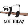 Not Panda today