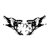 Schaeferhund,Hundekopf,Hunde,Hundegesicht,hund