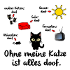 Ohne Katze