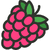 Raspberry - Raspberries MOTIVE