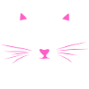 I'm getting meowied