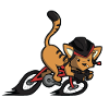Fahrrad Katze