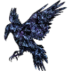 Raven