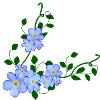 do not forget me