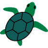 turtle