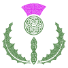 Celtic Knotwork Thistle