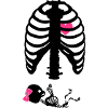Squelette de grossesse
