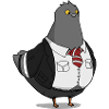 Pigeon