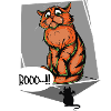 Booo