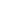 His Captain