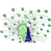 Peacock