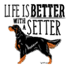 Gordon Setter Better