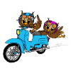 Owls with moped