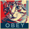 Obey the Cat!