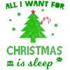 Christmas sleeping - gift