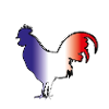 Coq Gaulois blanc