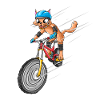Fahrrad Katze