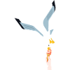 Möwe Eis Geschenk Vogel Dieb