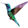Bunter Kolibri