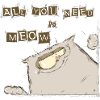 drôle chat