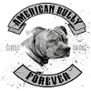 American Bullys forever