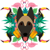 Tropical