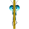insecte