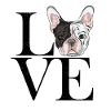 franz Bulldogge black