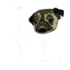 Mops blanc