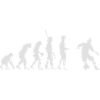 Evolution Fussball