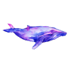 Traumwal