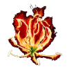 Eelam