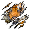 Tiger in me