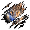 Wolf 2 in me